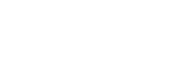 Netly - logo